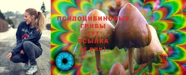 spice Семёнов