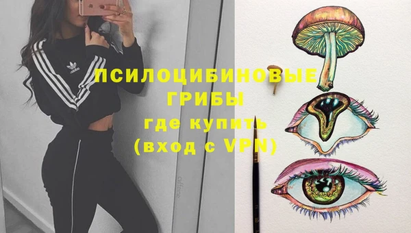 метамфетамин Алексеевка