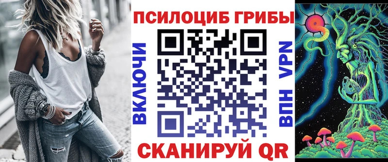 купить наркоту  Гурьевск  Псилоцибиновые грибы мицелий 